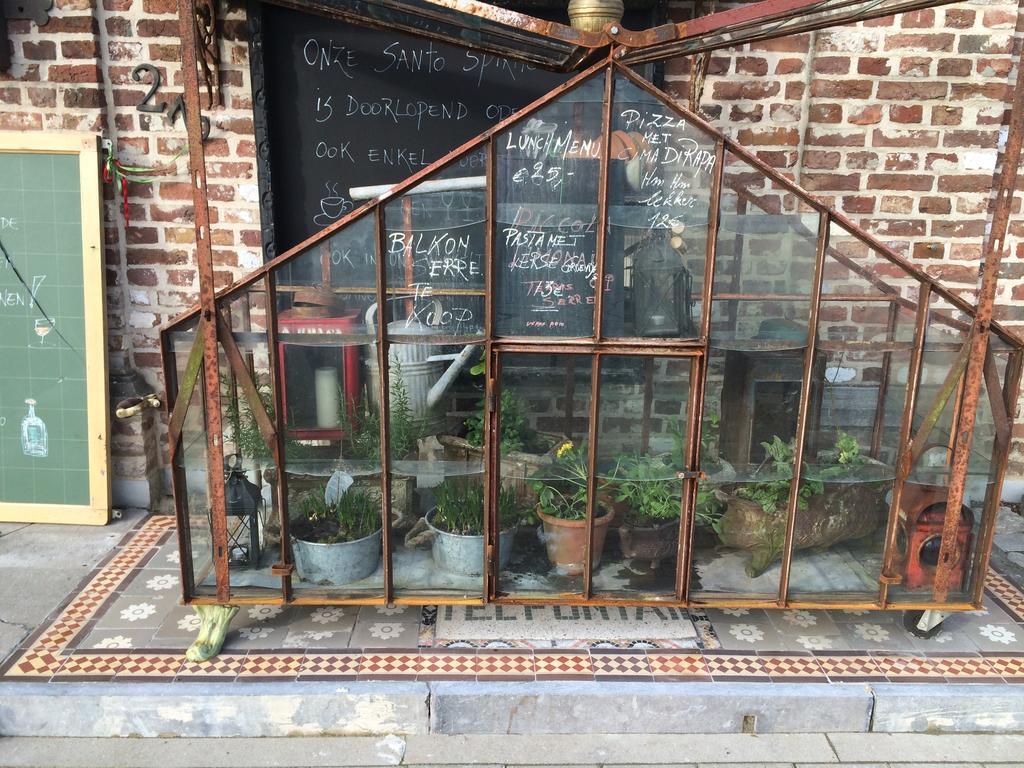 沃洛戈金梦园酒店 皮尔 外观 照片
